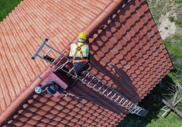 Best Asphalt Shingles Roofing  in Kurtistown, HI