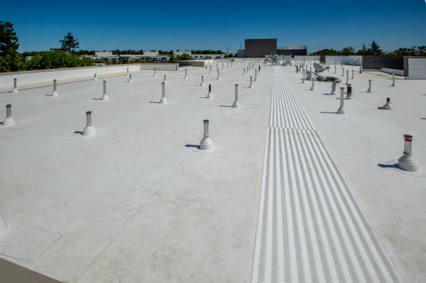 Best Commercial Roofing Services  in Kurtistown, HI
